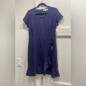 Lark & Ro NAVY dress fun and flirty knit dress NWT back up size 12